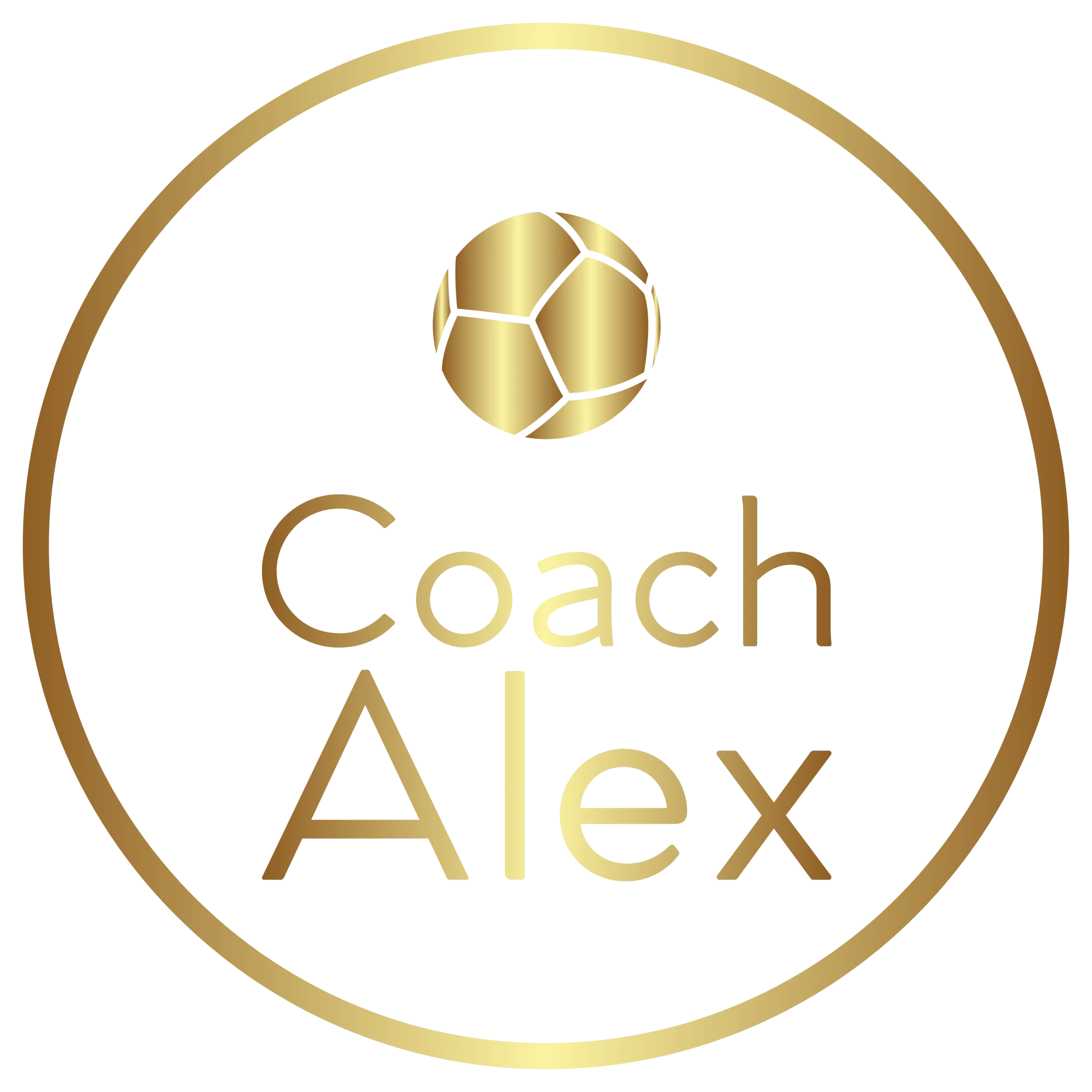 Color logo - no background