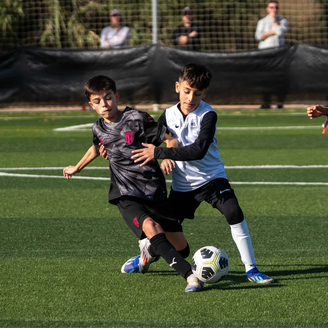 Surf Cup 3
